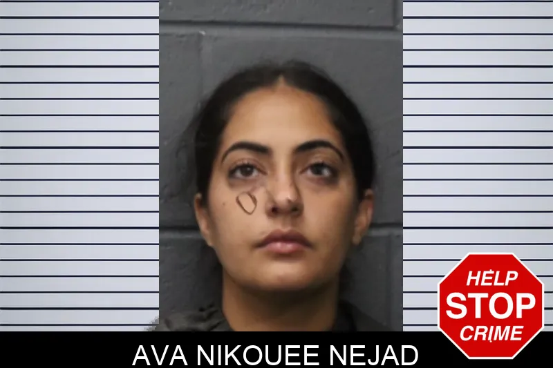 Ava Nikouee Nejad mugshot