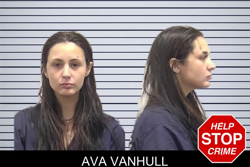 Ava Vanhull mugshot