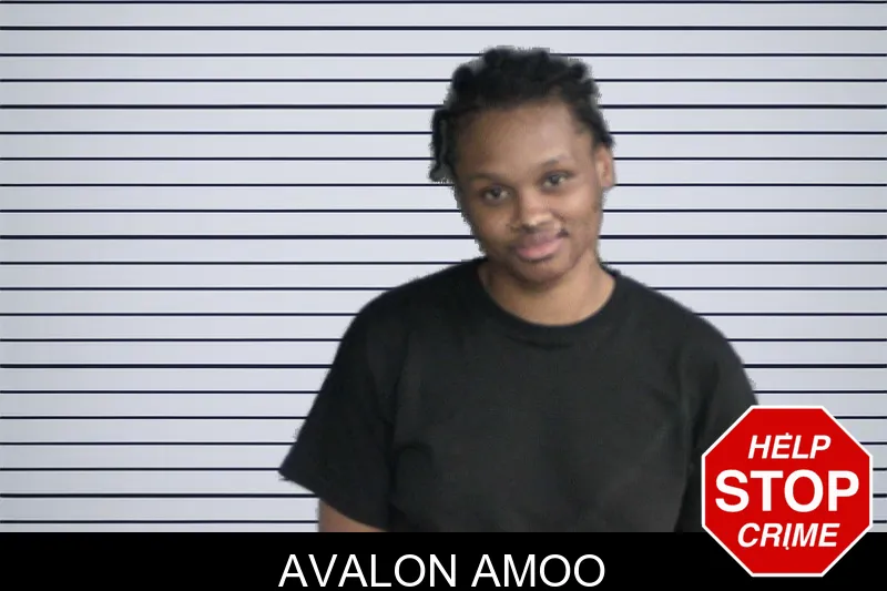 Avalon Amoo mugshot