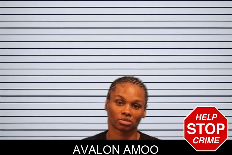 Avalon Amoo mugshot