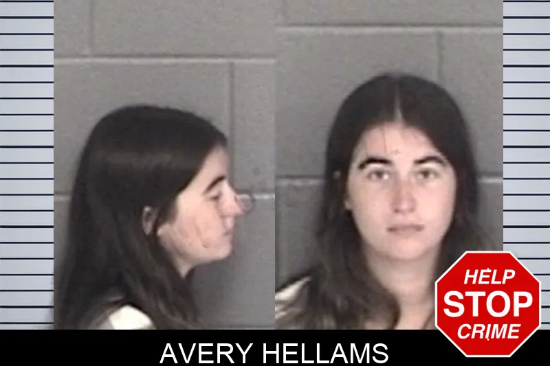 Avery Hellams mugshot