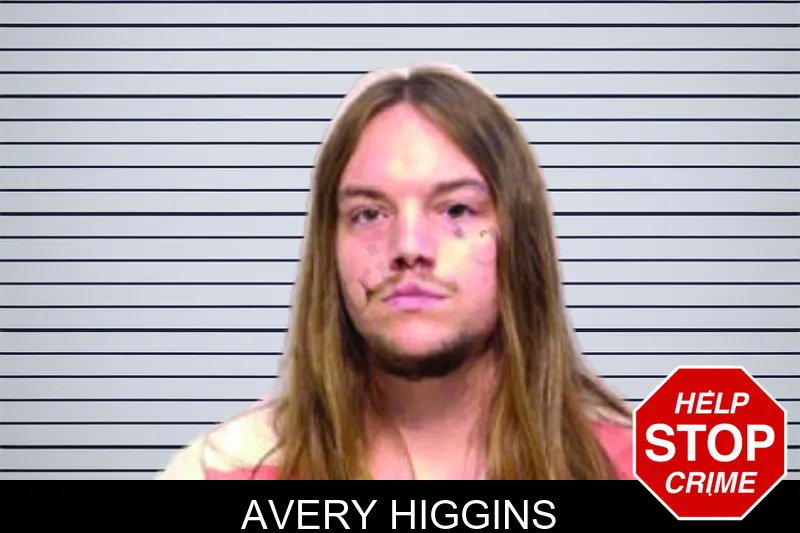 Avery Higgins mugshot