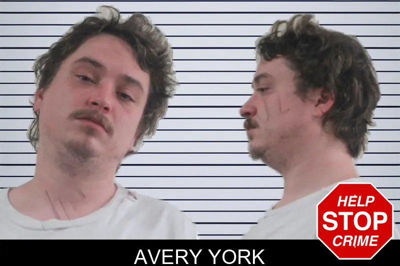 Avery York mugshot