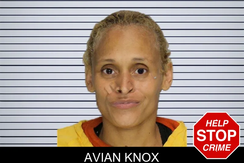 Avian Knox mugshot