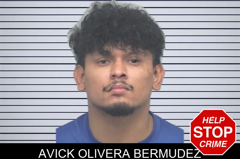 Avick Olivera Bermudez mugshot