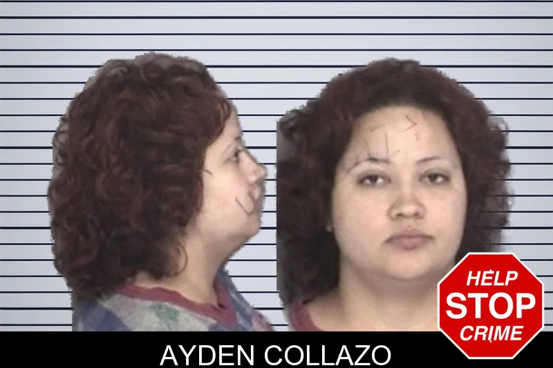 Ayden Collazo mugshot