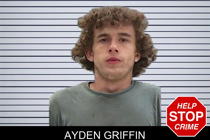 Ayden Griffin mugshot
