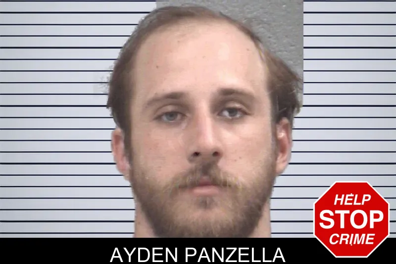 Ayden Panzella mugshot