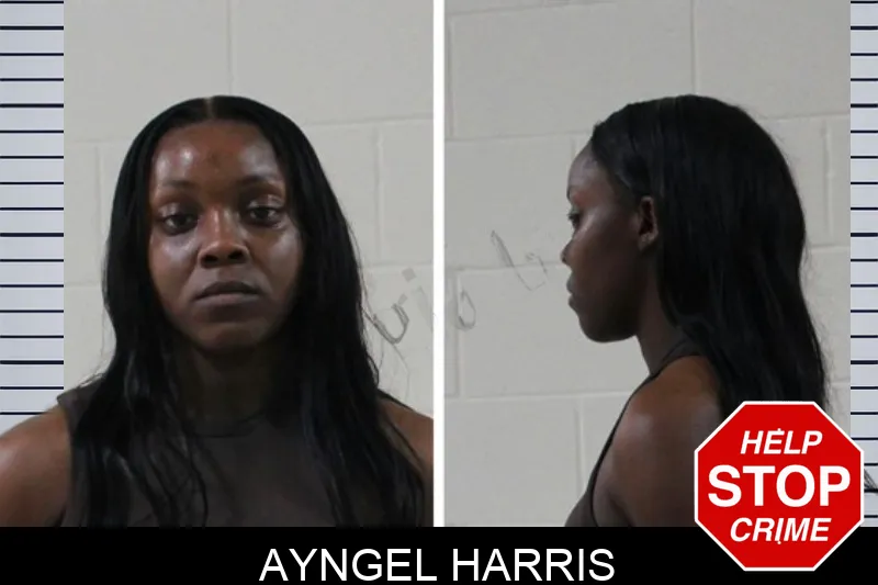 Ayngel Harris mugshot