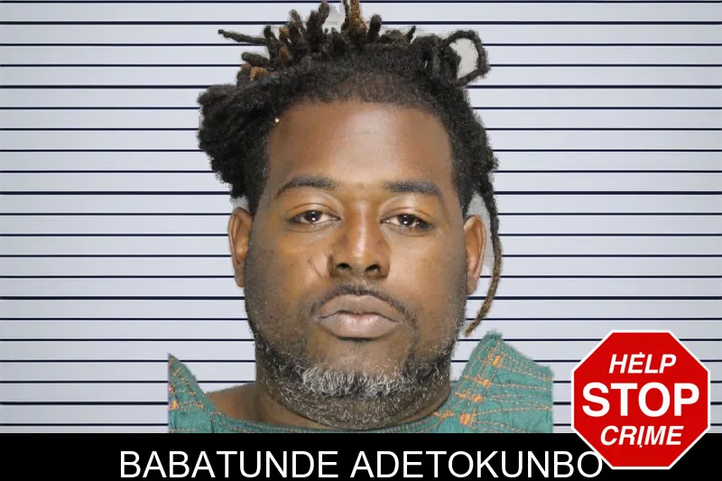 Babatunde Adetokunbo mugshot
