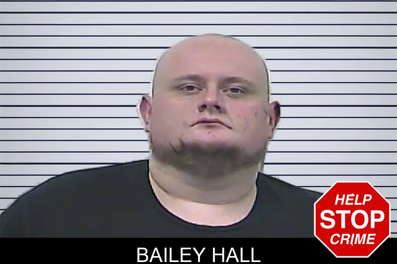 Bailey Hall mugshot