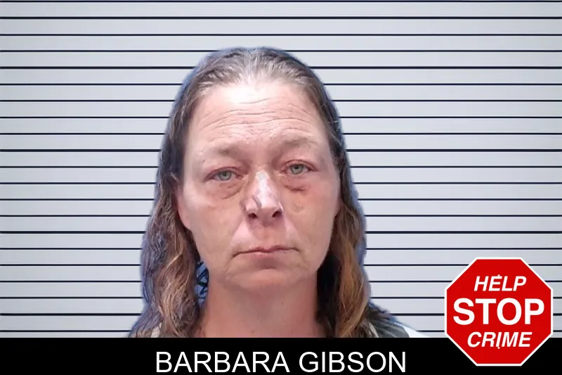 Barbara Gibson mugshot