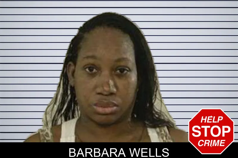 Barbara Wells mugshot