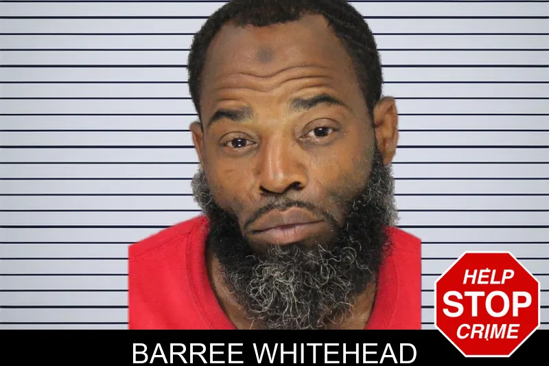 Barree Whitehead mugshot