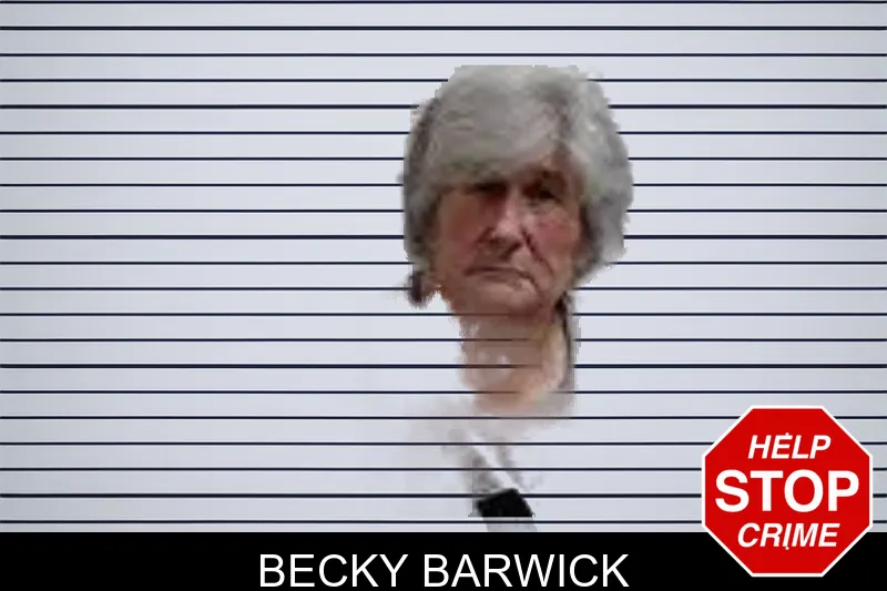 Becky Barwick mugshot