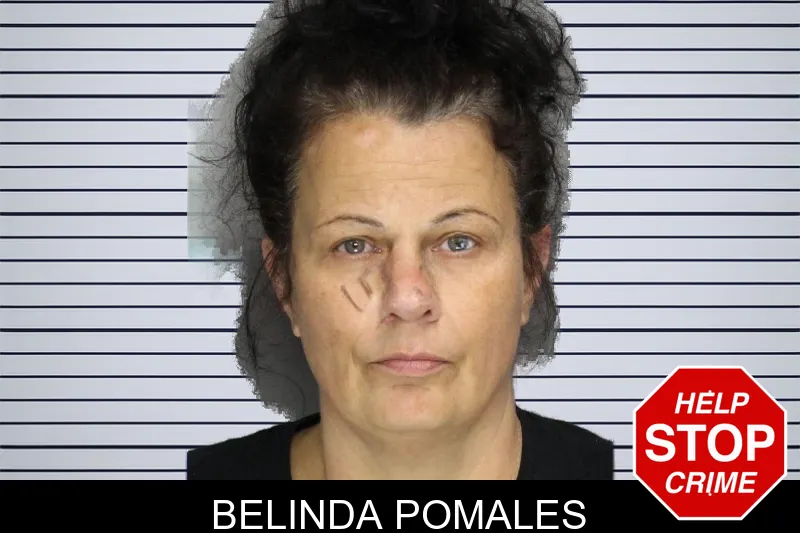 Belinda Pomales mugshot