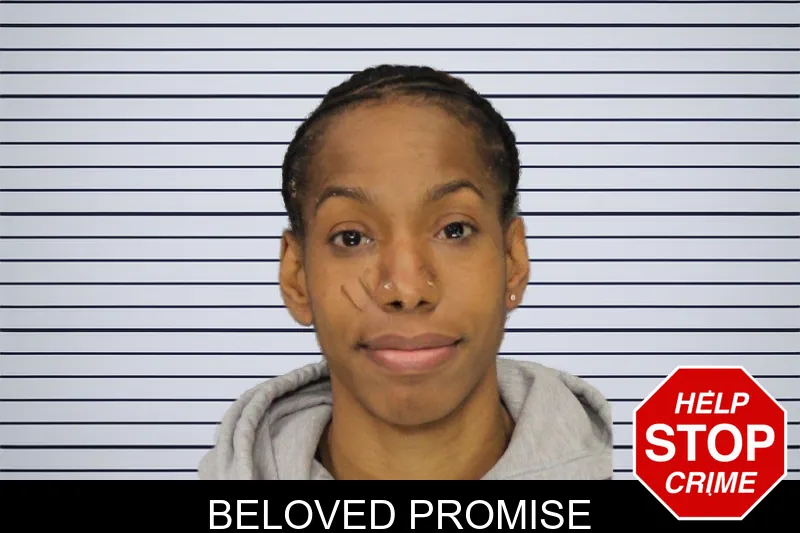 Beloved Promise mugshot – Cobb County , Georgia Beloved Promise mugshot