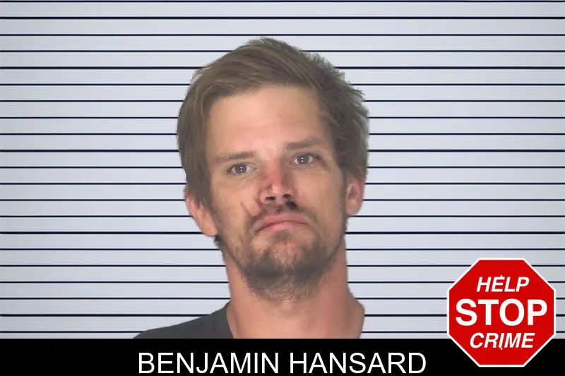 Benjamin Hansard mugshot
