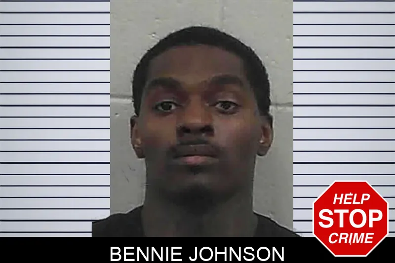 Bennie Johnson mugshot