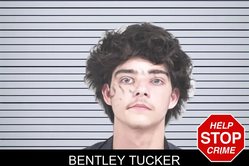 Bentley Tucker mugshot