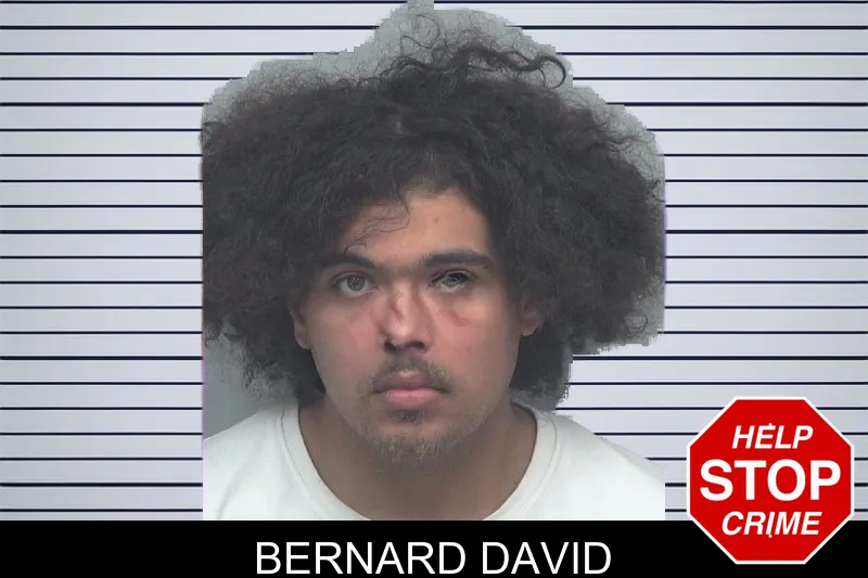 Bernard David mugshot