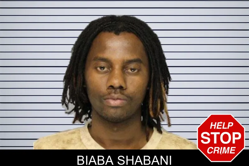 Biaba Shabani mugshot