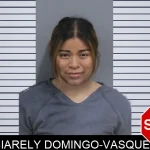 Biarely Domingo-Vasquez mugshot