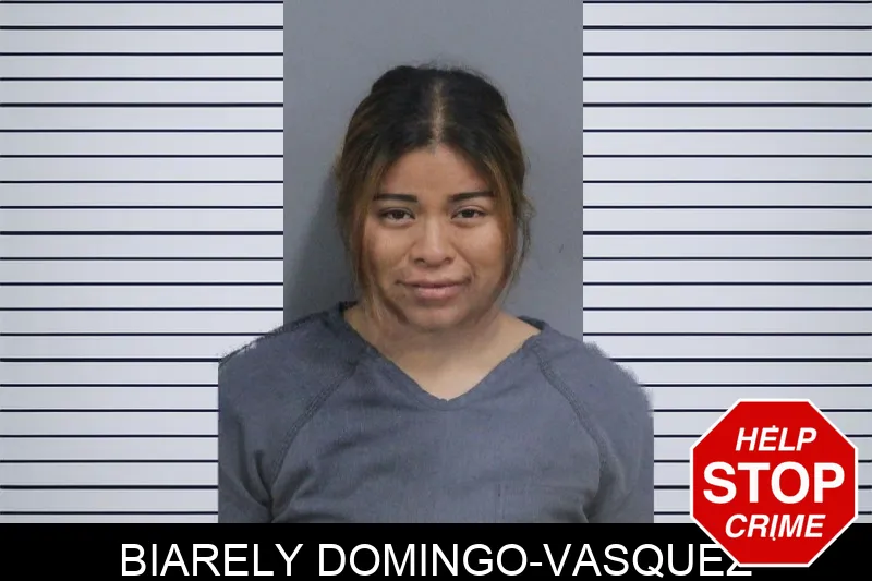 Biarely Domingo-Vasquez mugshot