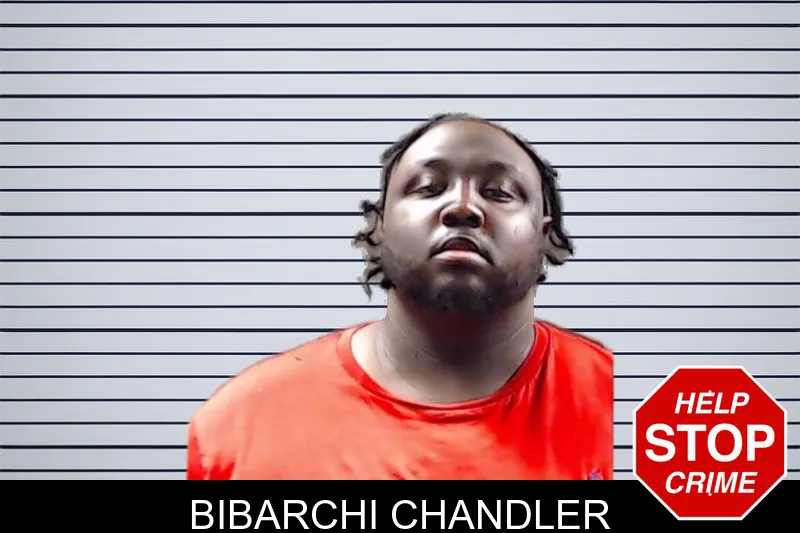 Bibarchi Chandler mugshot