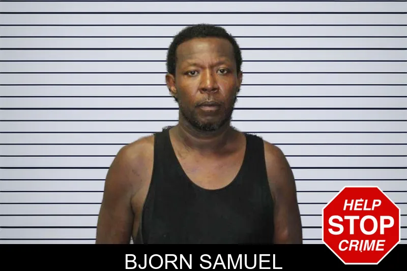 Bjorn Samuel mugshot