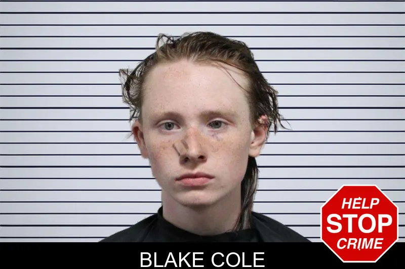 Blake Cole mugshot