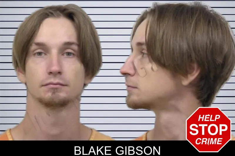 Blake Gibson mugshot