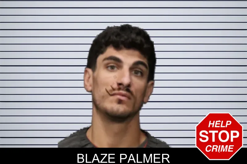 Blaze Palmer mugshot