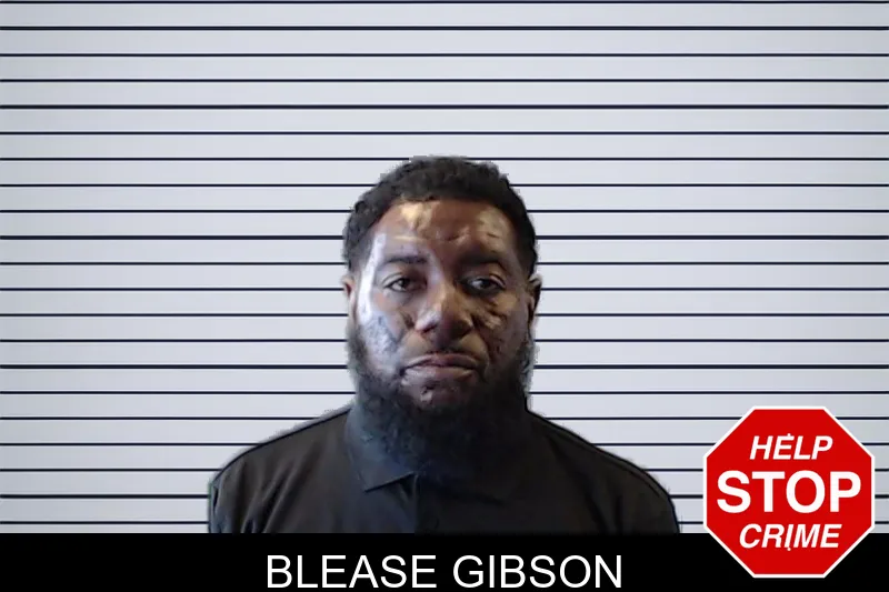 Blease Gibson mugshot