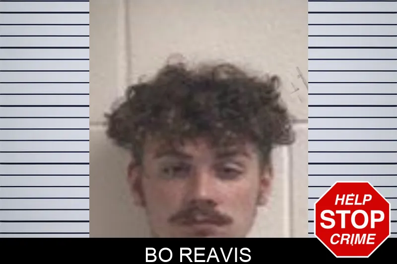 Bo Reavis mugshot