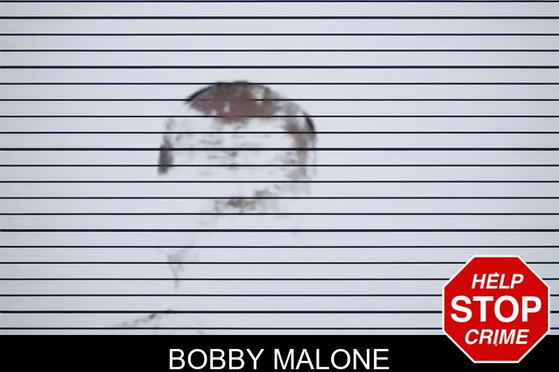 Bobby Malone mugshot