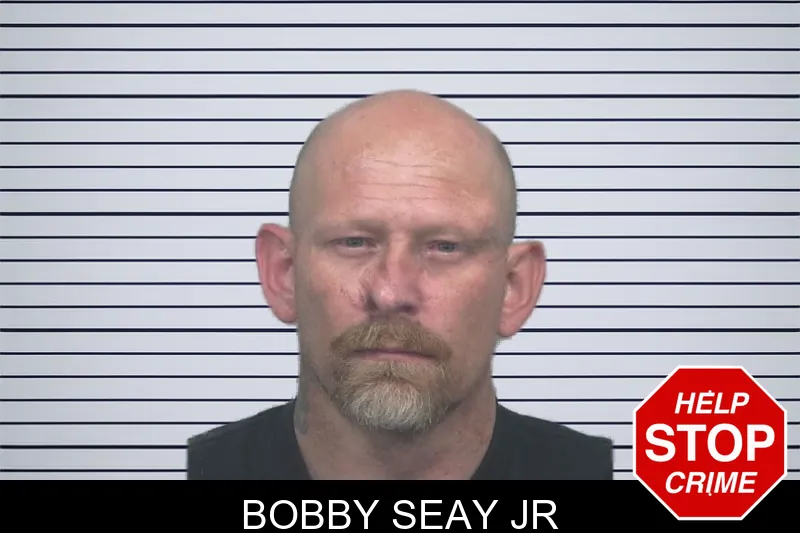 Bobby Seay Jr mugshot
