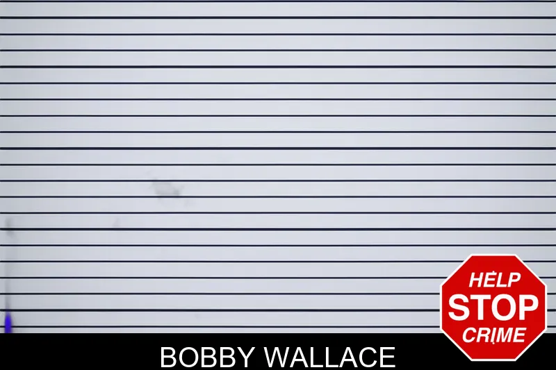 Bobby Wallace mugshot