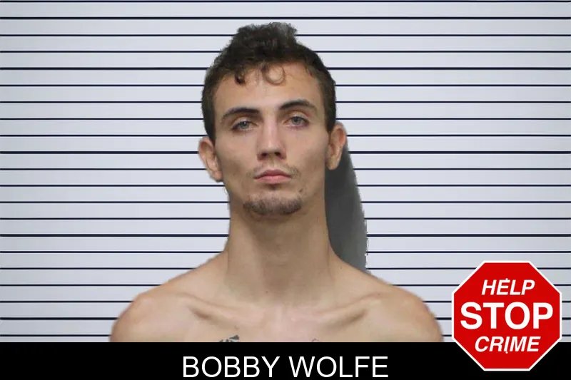 Bobby Wolfe mugshot