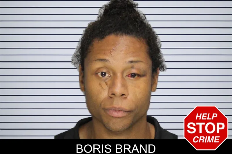 Boris Brand mugshot