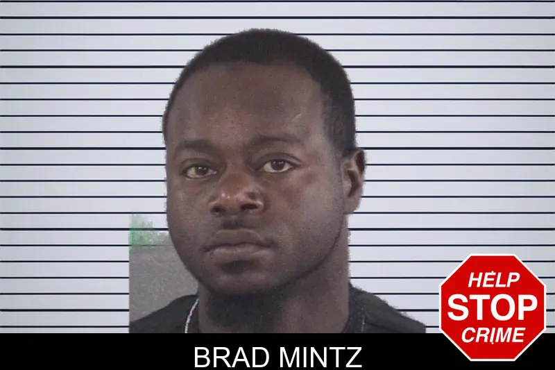 Brad Mintz mugshot