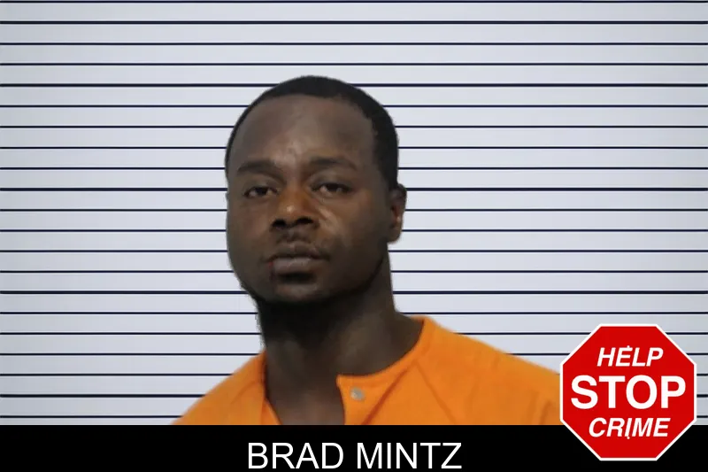 Brad Mintz mugshot