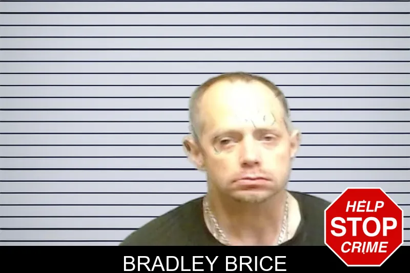 Bradley Brice mugshot