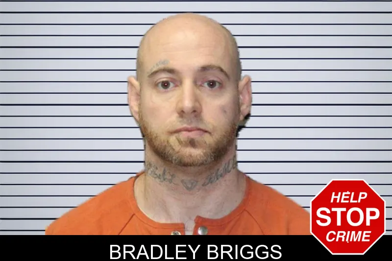 Bradley Briggs mugshot