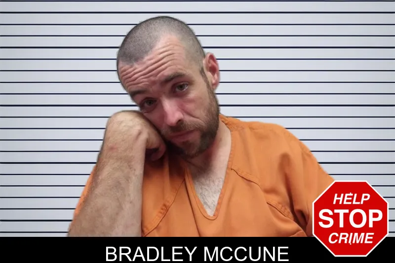 Bradley McCune mugshot
