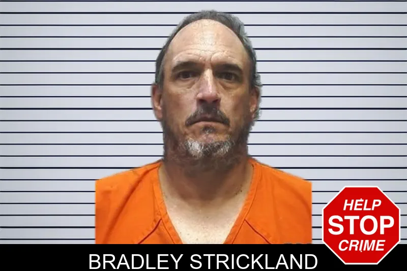 Bradley Strickland mugshot