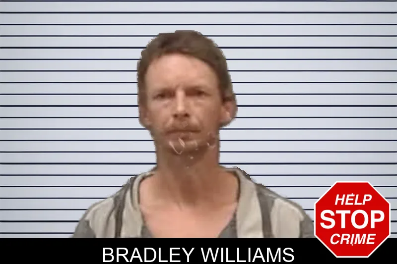Bradley Williams mugshot