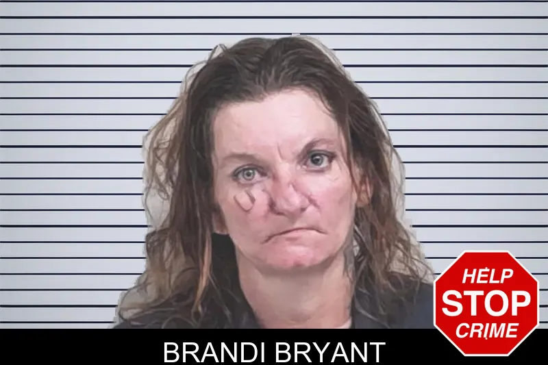 Brandi Bryant mugshot