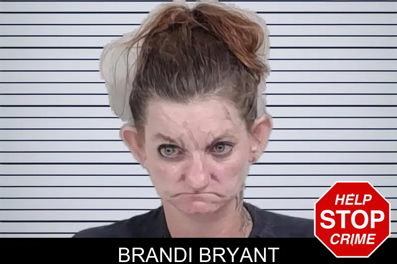 Brandi Bryant mugshot