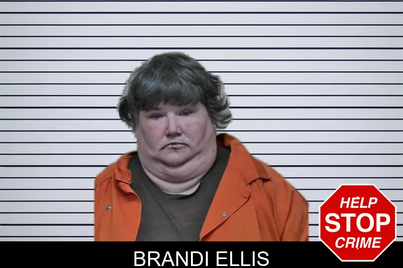 Brandi Ellis mugshot